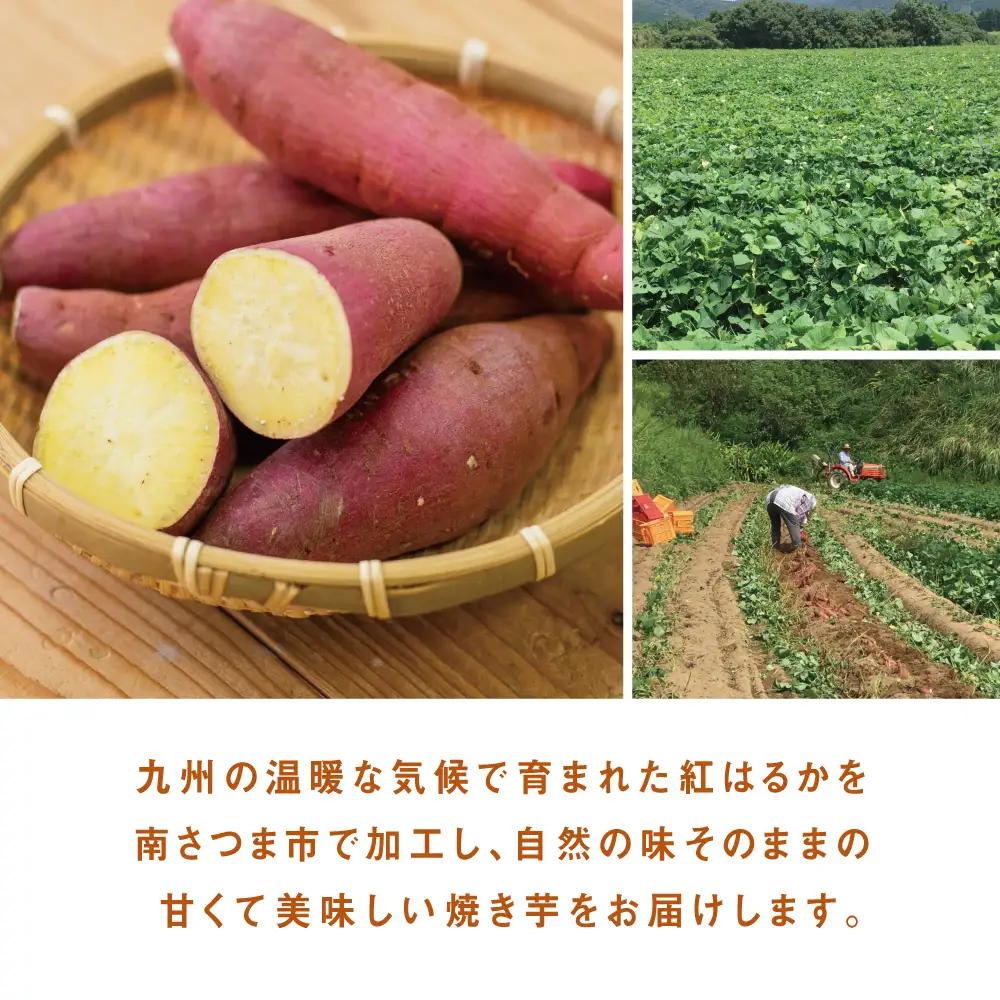 紅はるか 冷凍焼き芋 計3kg（500g×6袋） 焼き芋 焼いも やきいも さつまいも 電子レンジ 簡単 遠赤外線釜 甘い スイーツ おやつ お菓子作り 冷凍ストック 小分け 鹿児島県 南さつま市 南