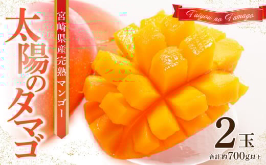 《2026年発送先行予約》【数量・期間限定】宮崎県産 太陽のタマゴ 2玉_M184-013