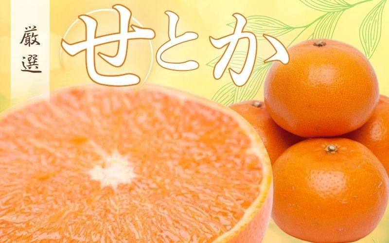 
            ＜2月より発送＞厳選 せとか1kg+250g（傷み補償分）【柑橘・春みかんの王様】【光センサー選果・食べ頃出荷】【ikd125C】
          