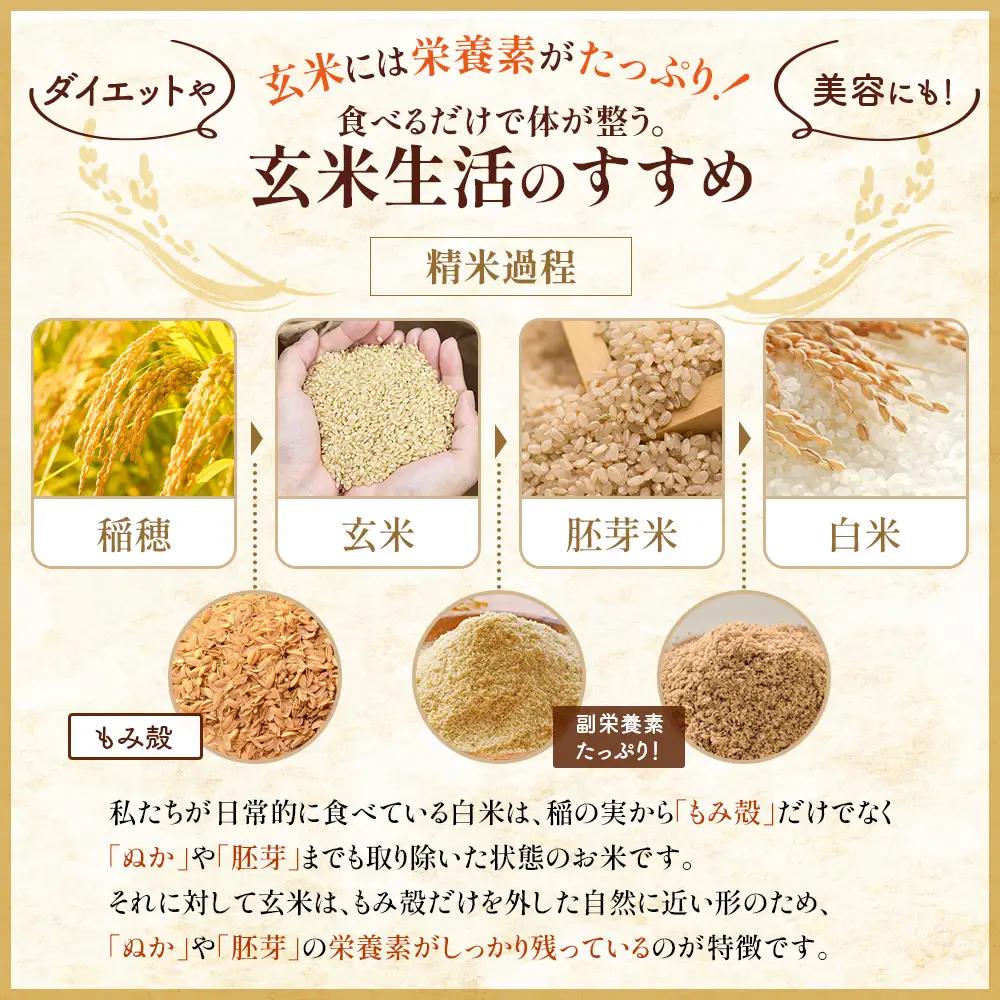 【令和8年度産】 食味ランキング「特A」ななつぼし玄米定期便 (10kg×12回)【11029】