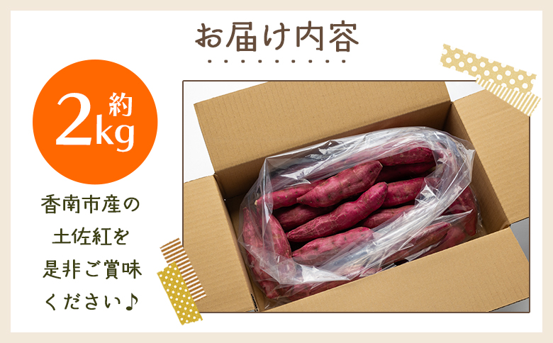 さつまいも（土佐紅）2kg  yr-0042