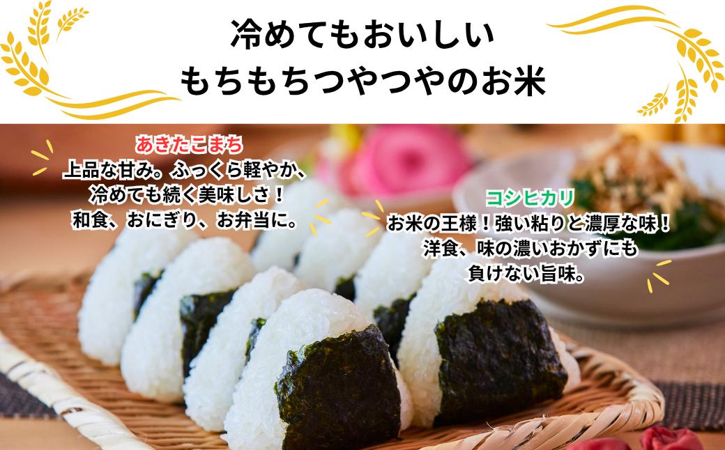 《先行予約 2026年10月発送》【3回定期便】白米 5kg 令和8年産 あきたこまち 岡山 「おおがや 芝桜米」 G-bf-BFCA