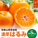 【ふるさと納税】【限定】 和歌山有田の濃厚 はるみ 5kg (Lサイズ)【ハルミ 春見 ミカン 蜜柑 柑橘 和歌山 有田】