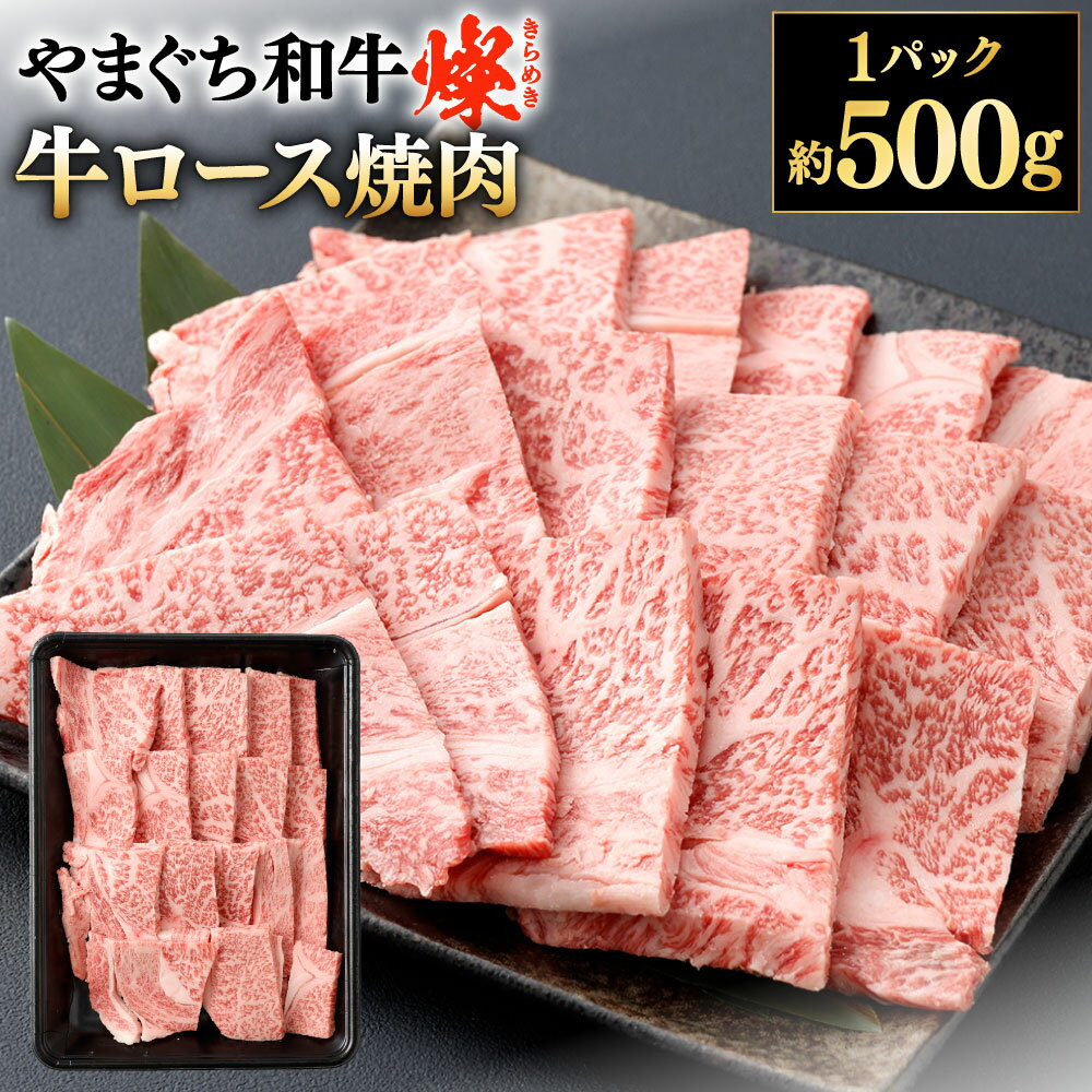 【ふるさと納税】【やまぐち和牛燦】牛ロース焼肉 約500g×1パック牛肉 国産和牛 国産牛 お肉 牛ロース ロース 焼き肉 バーベキュー BBQ ブランド牛 黒毛和牛 冷凍