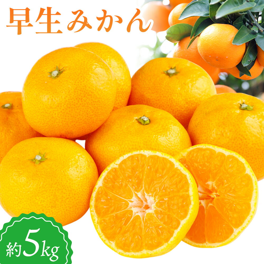 【ふるさと納税】早生みかん 約5kg 垣内農園 《10月下旬-12月中旬頃出荷》和歌山県 日高川町 果物 フルーツ 蜜柑 ミカン みかん 柑橘 送料無料