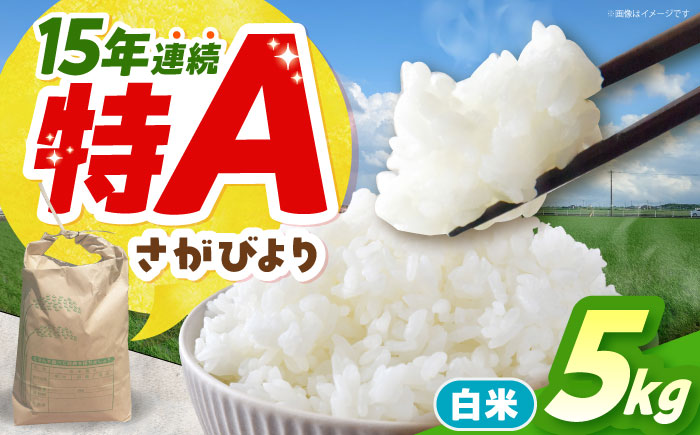 【先行予約】 令和7年産 新米 さがびより 精米 5kg 【佐賀県江北町産】　米 白米 [HAF030]