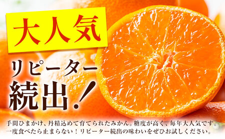 みかん 熟成みかん 極旨 1箱 2.2kg