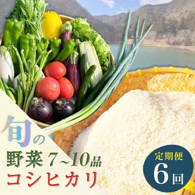 ふるさと納税 亀岡市 【毎月定期便】訳あり 農家直送!旬の野菜7〜10品+コシヒカリ2kg 詰め合わせセット全6回