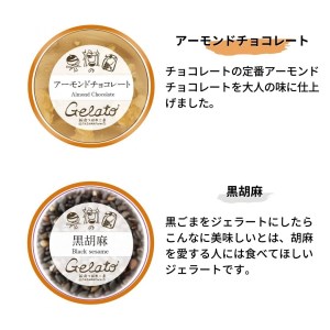 果樹園のジェラートセレクトvol.2 [6種×各2個] 合計12個セット  ジェラート詰合せ アイス詰合せ  [田沢農園] 【019S037】