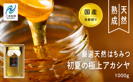 国産天然はちみつ 国産厳選 初夏の極上アカシヤ | ハチミツ 蜂蜜【株式会社渡辺養蜂場】