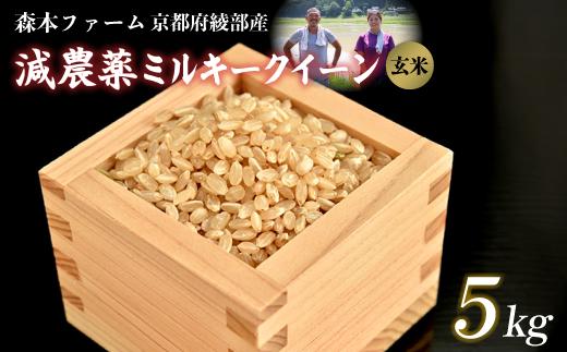 ≪選べる容量≫【令和7年度産 先行予約】 減農薬ミルキークイーン 玄米 5kg 【 米 ミルキークイーン 5キロ 5kg 玄米 こめ コメ お米 おこめ 減農薬 低農薬 農家直送 綾部 京都 森本ファーム 】