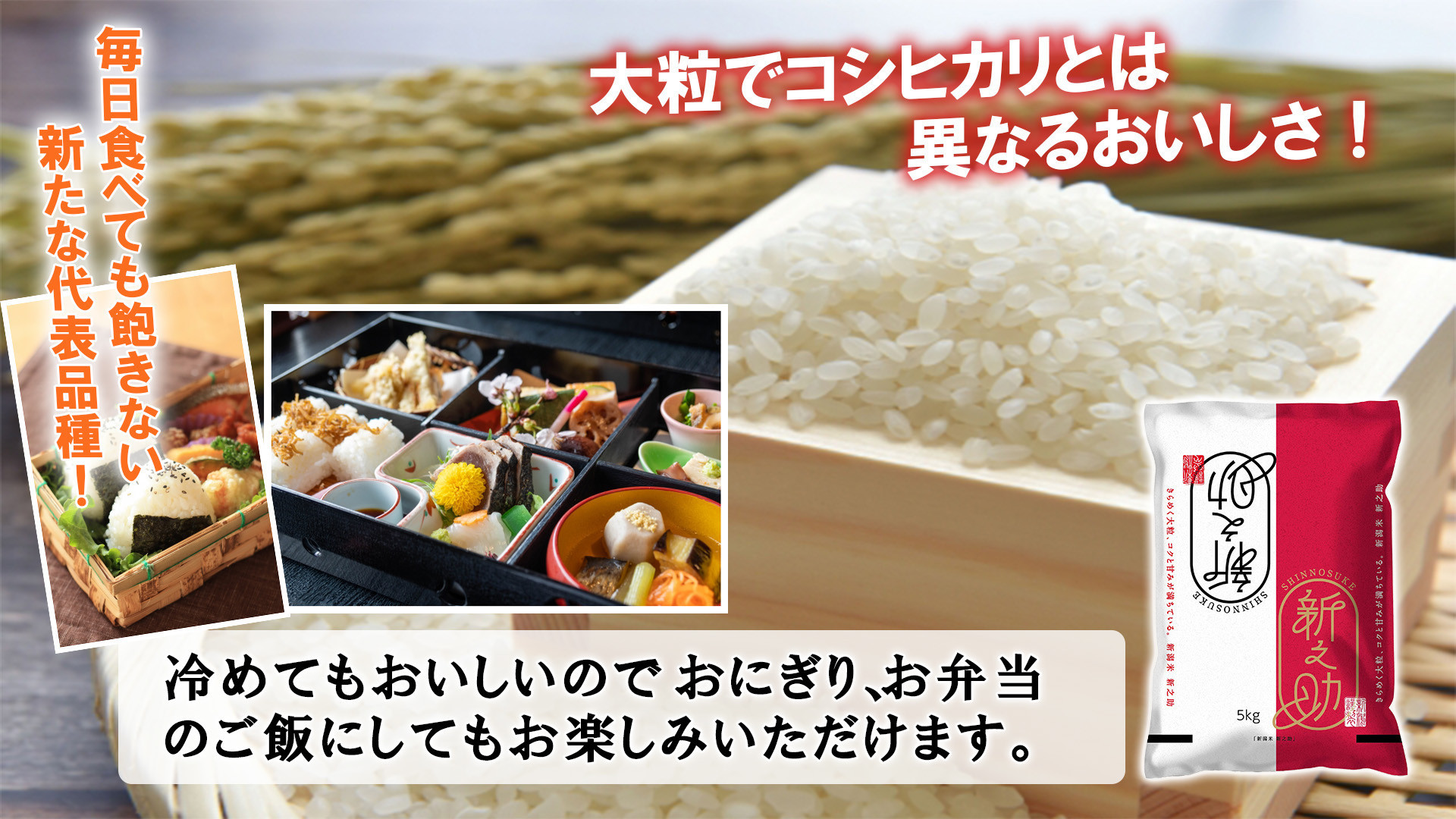 【令和7年産新米先行予約】南魚沼産新之助10kg【2025年10月下旬より順次発送予定】