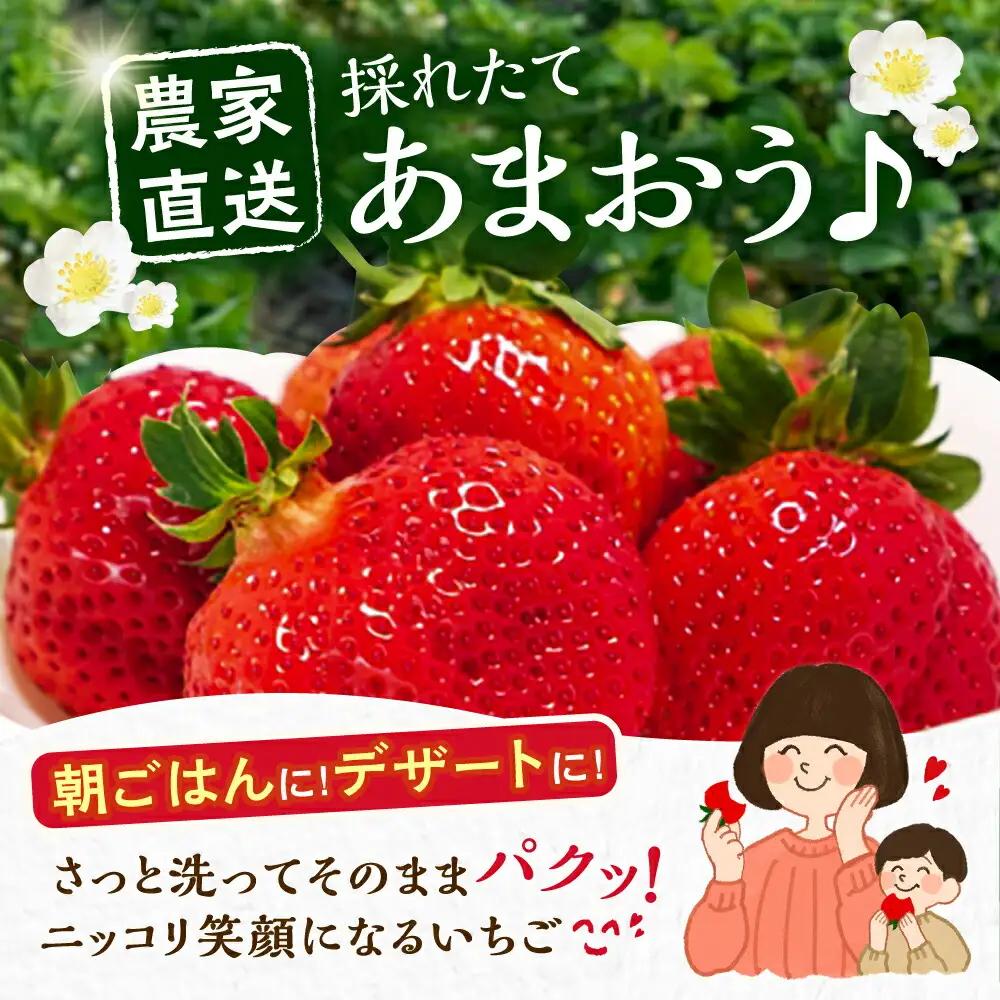 【先行予約】【2月-4月発送】農家直送 あまおう 厳選デラックスG 270g以上×4P VAB001 果物 あまおう