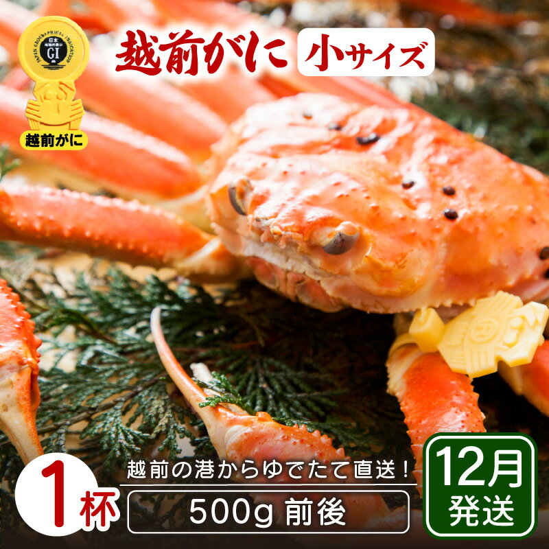 【ふるさと納税】≪浜茹で≫越前がに 小サイズ × 1杯（500g前後）地元で喜ばれるゆで加減・塩加減でお届け！【雄 ズワイガニ ずわいがに 越前ガニ 姿 ボイル 冷蔵 福井県】【12月発送分】希望日指定可 備考欄に希望日をご記入ください [e23-x015_12]