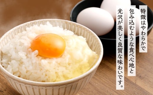 【令和7年度 新米 先行予約】 精米 食味鑑定士厳選 【3ヶ月定期便】 夢つくし 5kg×3回 計15kg お米 米 こめ コメ 白米 福岡県 北九州市