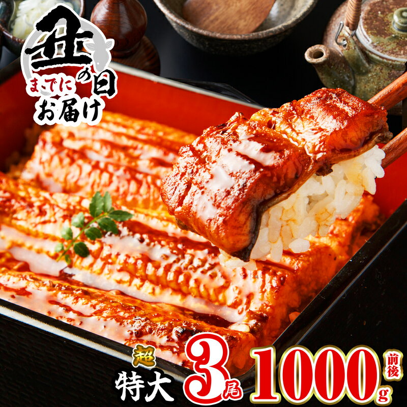 【ふるさと納税】【土用丑の日までのお届け可】 3尾 1000g前後 うなぎ ふっくらジューシー 有頭うなぎ蒲焼 真空 特大 鰻 1尾ずつ 小分け 人気 タレ付き SF012-0 【 福岡県 須恵町 】