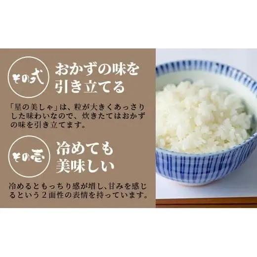 【定期便 3回】3ヶ月連続でお届け 星の美しゃ・於茂登のひかり・ひとめぼれ 5kg が毎月交互に届く(合計15kg)  石垣島産 MK-8