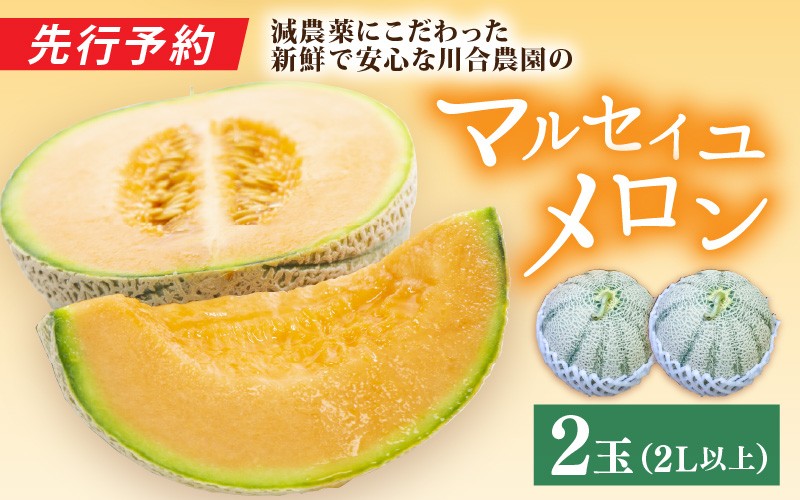 【先行予約】減農薬にこだわった新鮮で安心な川合農園マルセイユメロン 2玉【2023年6月中旬以降順次発送予定】