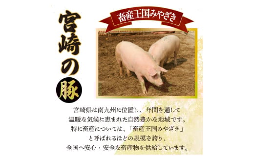 MCT6UB-69 【定期便・全6回】宮崎牛・宮崎県産豚肉 6ヶ月定期便！6.9kg