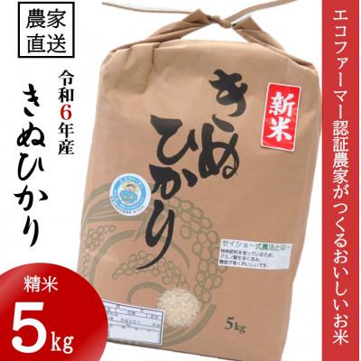 ふるさと納税 日高町 【令和7年10月〜順次発送】★令和7年産新米★米「きぬひかり」5kg