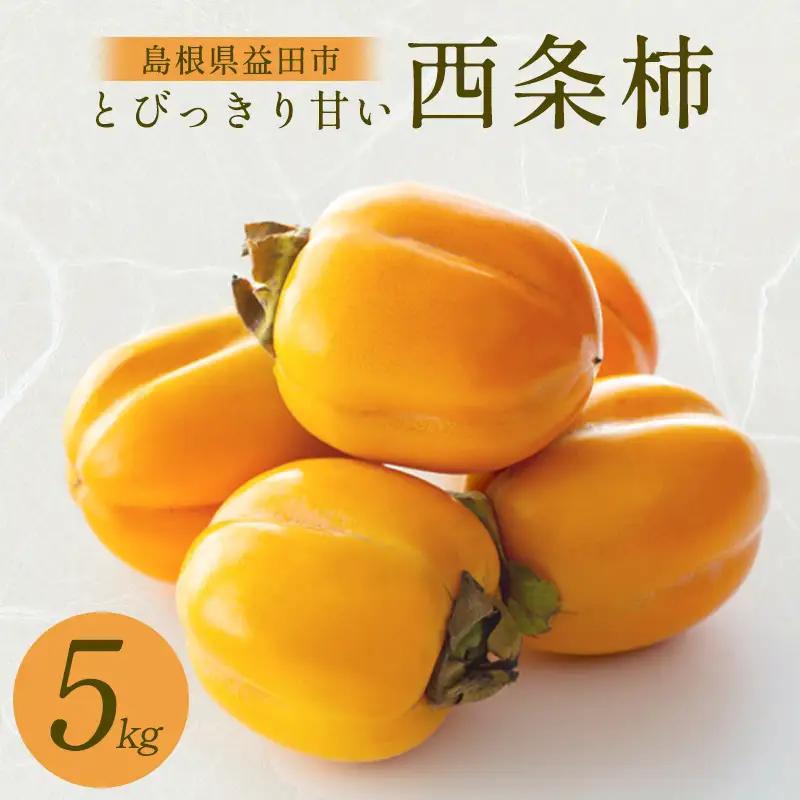 A-989 とびっきり甘い西条柿　5㎏