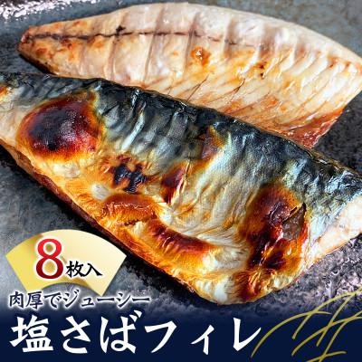 ふるさと納税 北山村 塩さばフィレ 8枚入(真空パック入)【uot404B】