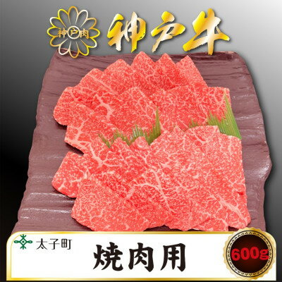 【ふるさと納税】神戸牛　TSY2　焼肉用　600g【配送不可地域：離島】【1509909】