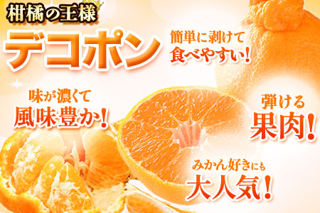 デコポン 約5kg ご家庭用 デコポン 訳あり 熊本