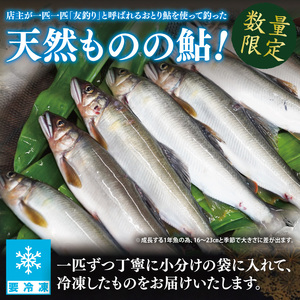 【夏季限定】清流 久慈川 天然鮎 6～7匹｜茨城県 大子町 あゆ 魚 川魚 冷凍（AA001）
