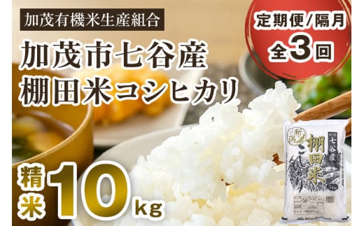 【令和7年産新米】【定期便3回隔月お届け】新潟県加茂市 七谷産 棚田米コシヒカリ 精米10kg（5kg×2）《順次出荷》 白米 加茂有機米生産組合 定期便