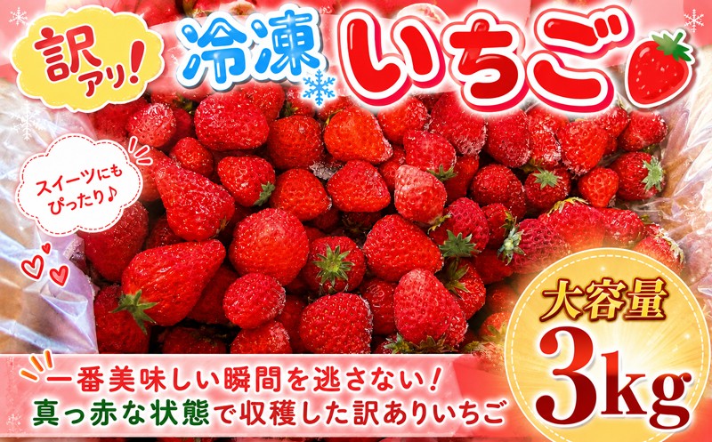 
                  【訳あり】 冷凍いちご 3kg 冷凍 いちご 果物 フルーツ デザート アイス ジャム ヨーグルト スムージー シャーベット ケーキ ショートケーキ ストロベリー おやつ 苺 イチゴ ichigo 果実 果汁 冷凍食品 サイズ 不揃い 訳あり 訳アリ 人気 子ども 家庭用 おすすめ JA湘南 湘南農業協同組合 神奈川県 平塚市
                