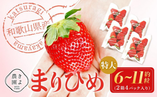 
                  特大まりひめイチゴ 朝摘 6個～11個入×4パック［2026年1月中旬頃より発送］［先行予約］［KT4］
                