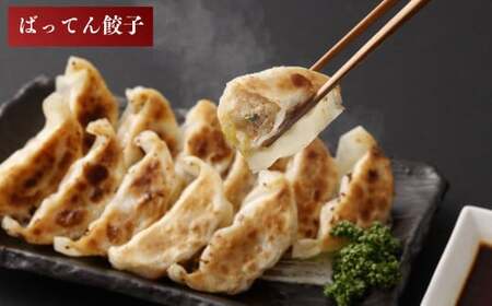 ばってん餃子 食べくらべ 4袋セット 計72個 17g×18個×4袋 2種 餃子 ぎょうざ ギョーザ おかず 惣菜 冷凍 保存料・増量剤不使用