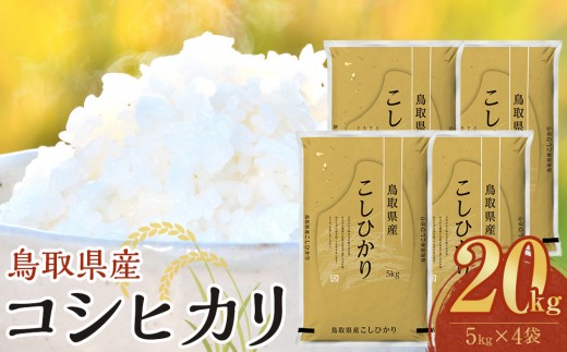 
                  【令和8年産新米産】【食味鑑定士厳選】 鳥取県産 コシヒカリ20kg (5kg×4袋)【 米 お米 こめ 白米 こしひかり ご飯 ごはん 白ごはん 白ご飯 鳥取県 北栄町 おすすめ 人気 2025年産 令和8年産新米 厳選 国産 送料無料】
                