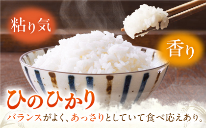 ヒノヒカリ 白米5kg 【角田農園】 [ZEV001]お米 コメ 白米 ごはん ヒノヒカリ 熊本 5kg