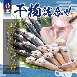 ＜数量限定＞大漁時のみ限定！！特盛干物詰合せ(総重量1.5kg以上)鳥取県 国産 魚介 海鮮 海の幸 鯖 さば サバ 鯵 あじ アジ 鯛 たい タイ 鰯 いわし イワシ かれい カレイ 干物 干し物 