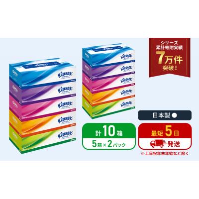 ふるさと納税 岩沼市 ティッシュ クリネックス ティシュー 5箱入×2P ティッシュペーパー[No.5704-1034] |  | 01