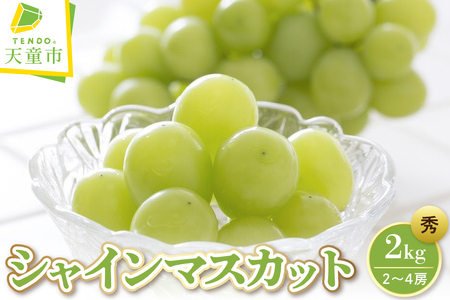 ぶどう ( シャインマスカット ) 2kg フルーツ 果物 山形