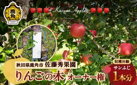 《 令和7年度 》秋田県 鹿角市 りんごの木 オーナー権 1本分（ 収穫量20kg保証 ）【佐藤秀果園】 収穫体験 りんご狩り オーナー制度 チケット 農林水産大臣賞 ふじ リンゴ 完熟 蜜入り 旬 県産りんご 秋田 あきた 鹿角 送料無料