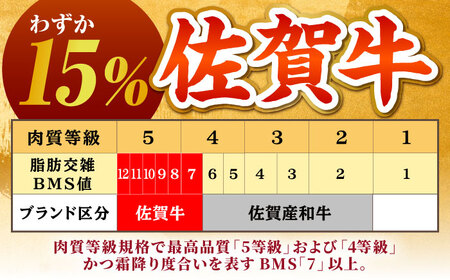 【全国有数のブランド牛】佐賀牛サーロインステーキ計300g（150ｇ×2パック）【がばいフーズ】A5ランク 佐賀牛[HCS012]