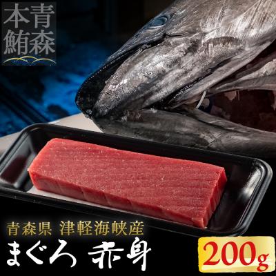 ふるさと納税 むつ市 【引き締まった旨味】津軽海峡産まぐろ(赤身200g)