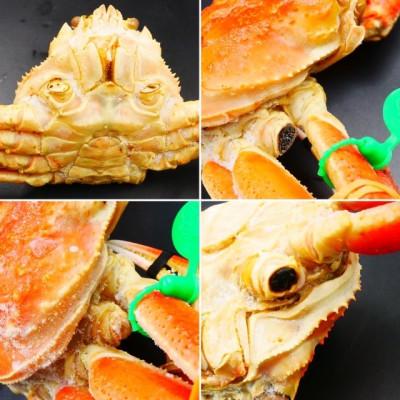 ふるさと納税 宮津市 松葉ガニ　茹で　タグ付き　訳アリ　700gup　3杯 |  | 02