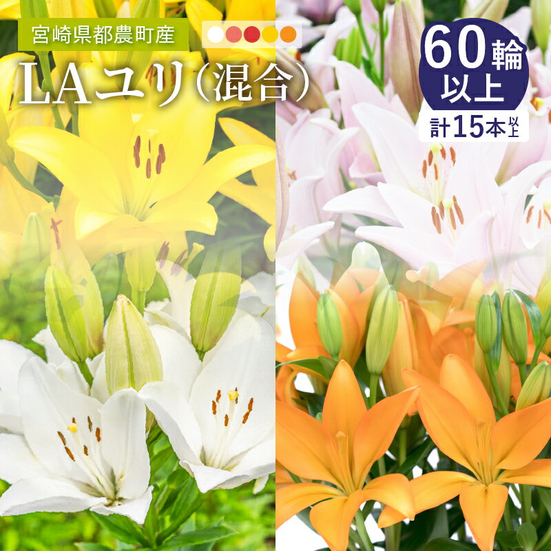 【ふるさと納税】【2週間以内発送】色が選べる 期間限定 LA ユリ 約15本 お花 白 ピンク オレンジ 黄 ゆり 百合 アレンジメント インテリア 飾り フラワーギフト ガーデニング 花束 贈り物 贈答 ウエディング ブーケ プレゼント 記念日 宮崎県 都農町 送料無料