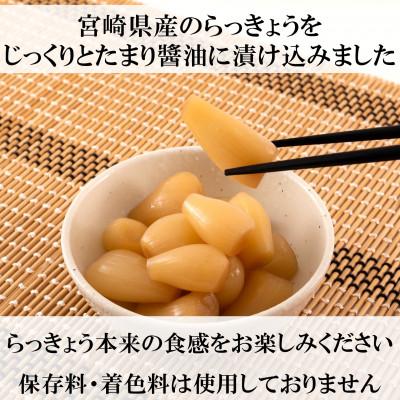 ふるさと納税 三股町 熟成たまりらっきょうセット(80g×10袋・計800g)【MI012】 |  | 01