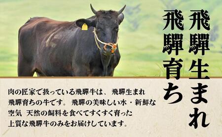 【12月開始】飛騨牛づくし 定期便 3ヶ月 ( 焼肉 / すき焼き / ステーキ ) 全3回  | 肉 しゃぶしゃぶ 食べ比べ 牛 定期 おすすめ 人気 飛騨高山 ブランド牛 ふるさと納税定期便 肉の