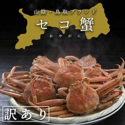 ふるさと納税 八頭町 【活き】訳あり足折れ日本海産親ガニ(セコガニ)　10枚