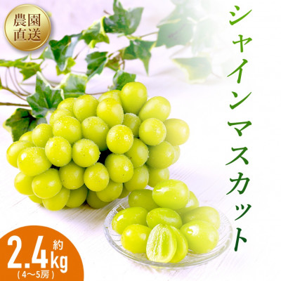 農園直送!シャインマスカット2.4kg(4～5房)朝採れ 糖度18度以上 【2025年8～9月発送】【配送不可地域：離島】