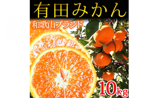 
            完熟有田みかん10kg ふるさと納税 ミカン※2025年11月下旬〜2026年1月下旬頃に順次発送予定
          