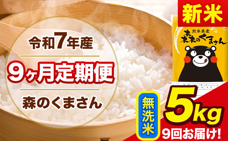 【9ヶ月定期便】新米 令和7年産 無洗米 定期便 森のくまさん 5kg 森くま 《お申込み翌月から出荷》熊本県産 単一原料米 森くま 熊本県 玉東町