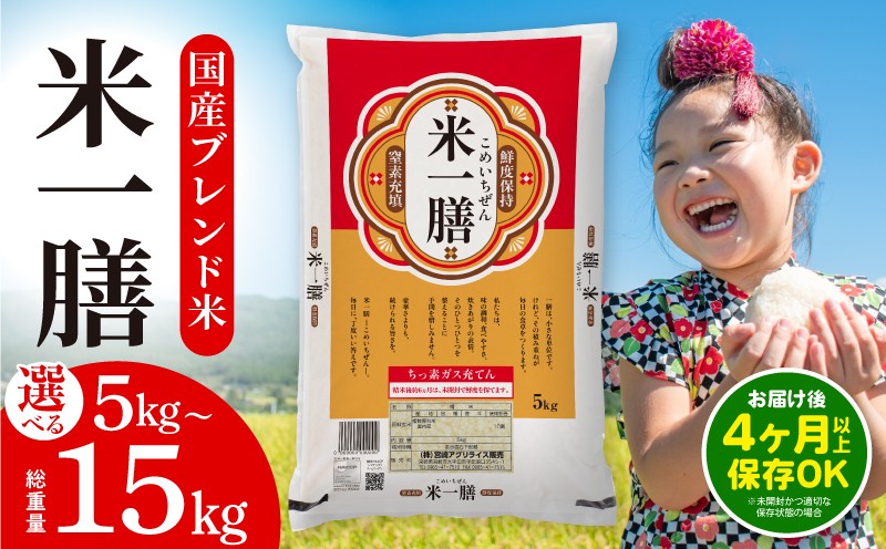 
                  【選べる内容量】国産ブレンド米 「米一膳」 ｜ 5kg 10kg 15kg 1袋 2袋 3袋 国産 米 お米 コメ 精米 白米 ごはん ご飯 備蓄 防災 ライス 白飯 おにぎり おむすび お弁当 普段使い 返礼品 ブレンド米 ふるさと納税米 小分け ストック おすそ分け 主食 炭水化物 贈答 贈り物 ギフト 人気 おすすめ オススメ 宮崎県 宮崎市｜_M181-006-SKU
                